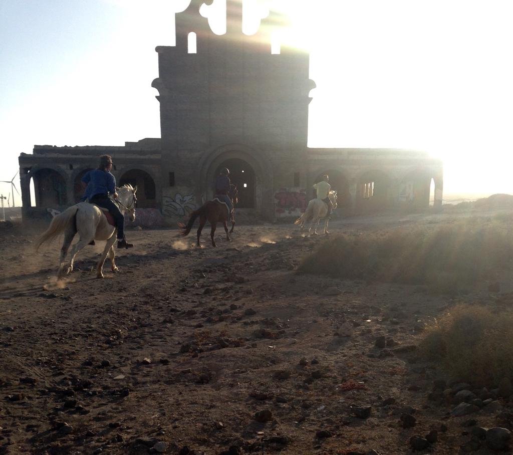 Horse sanctuary leper colony horse riding