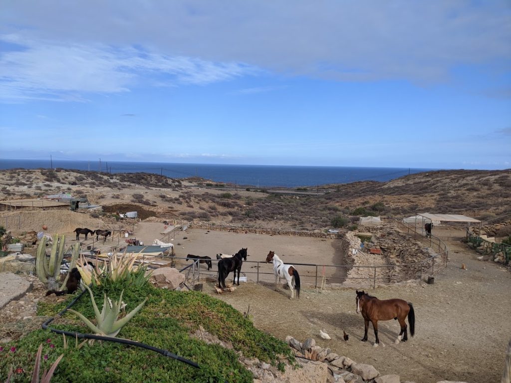 view over the farm