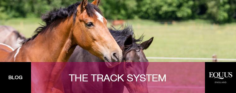 track-system-top-blog-image