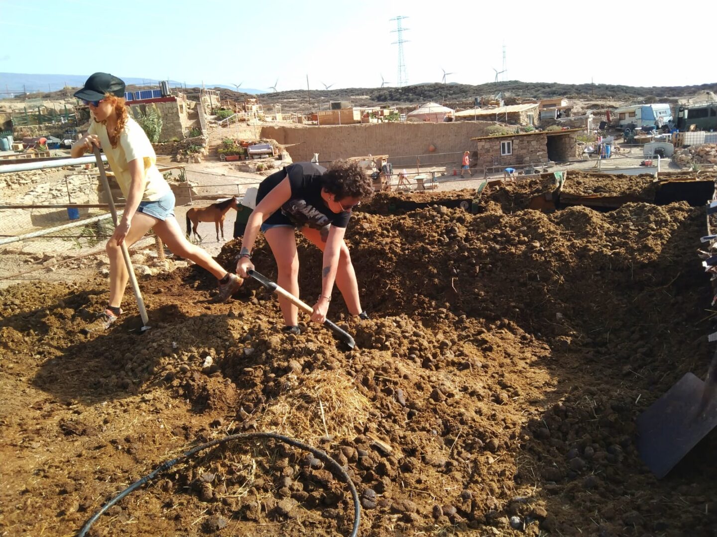 Manure composting project 1