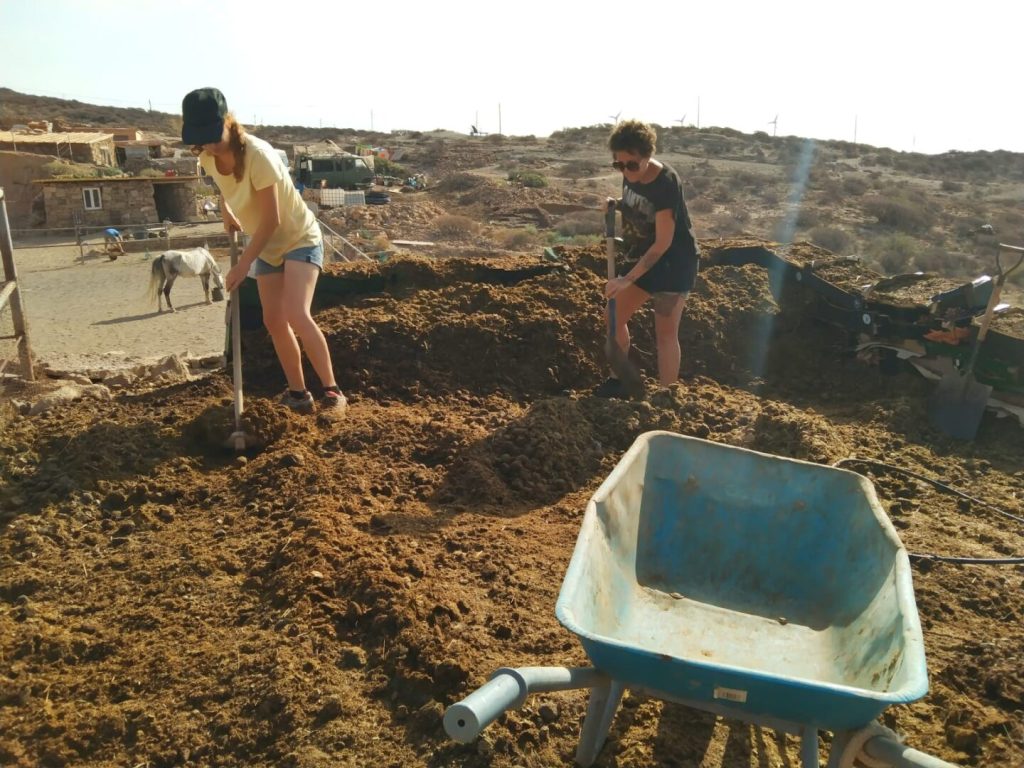 manure composting sustainable living