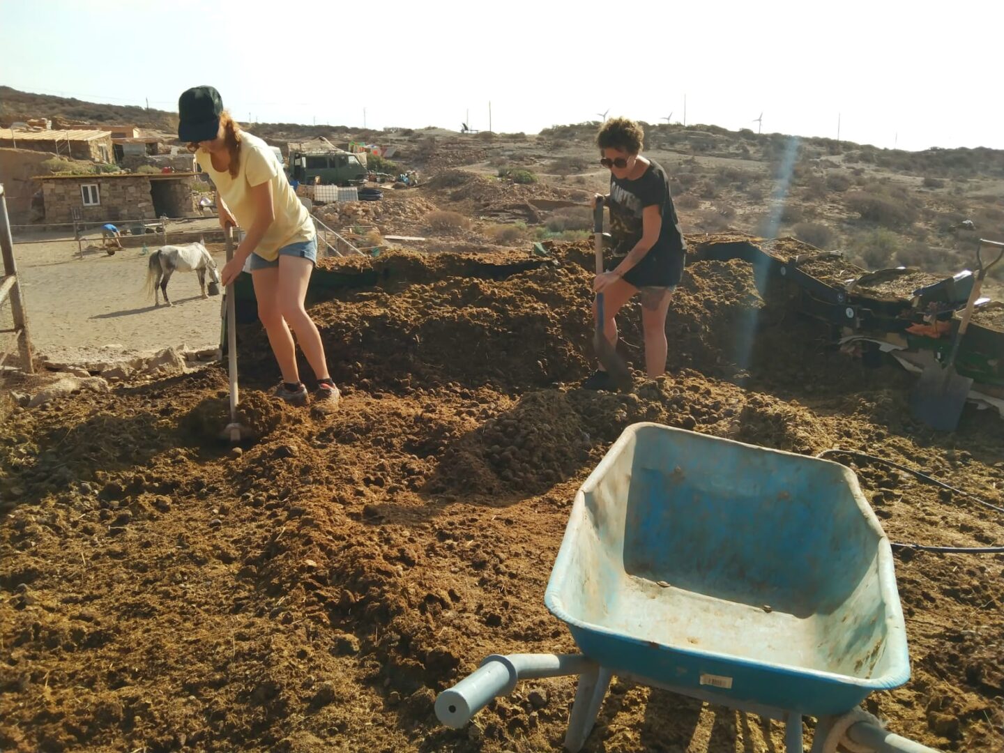 Manure composting project 2