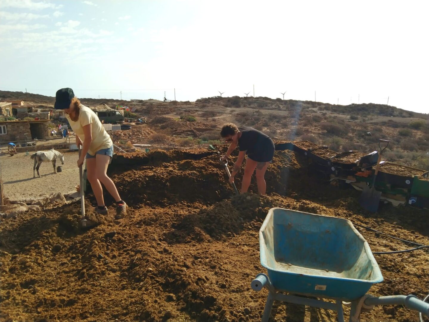 Manure composting project 3