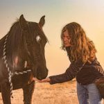 Positive horsemanship training