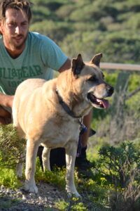 Lumpy the rescue