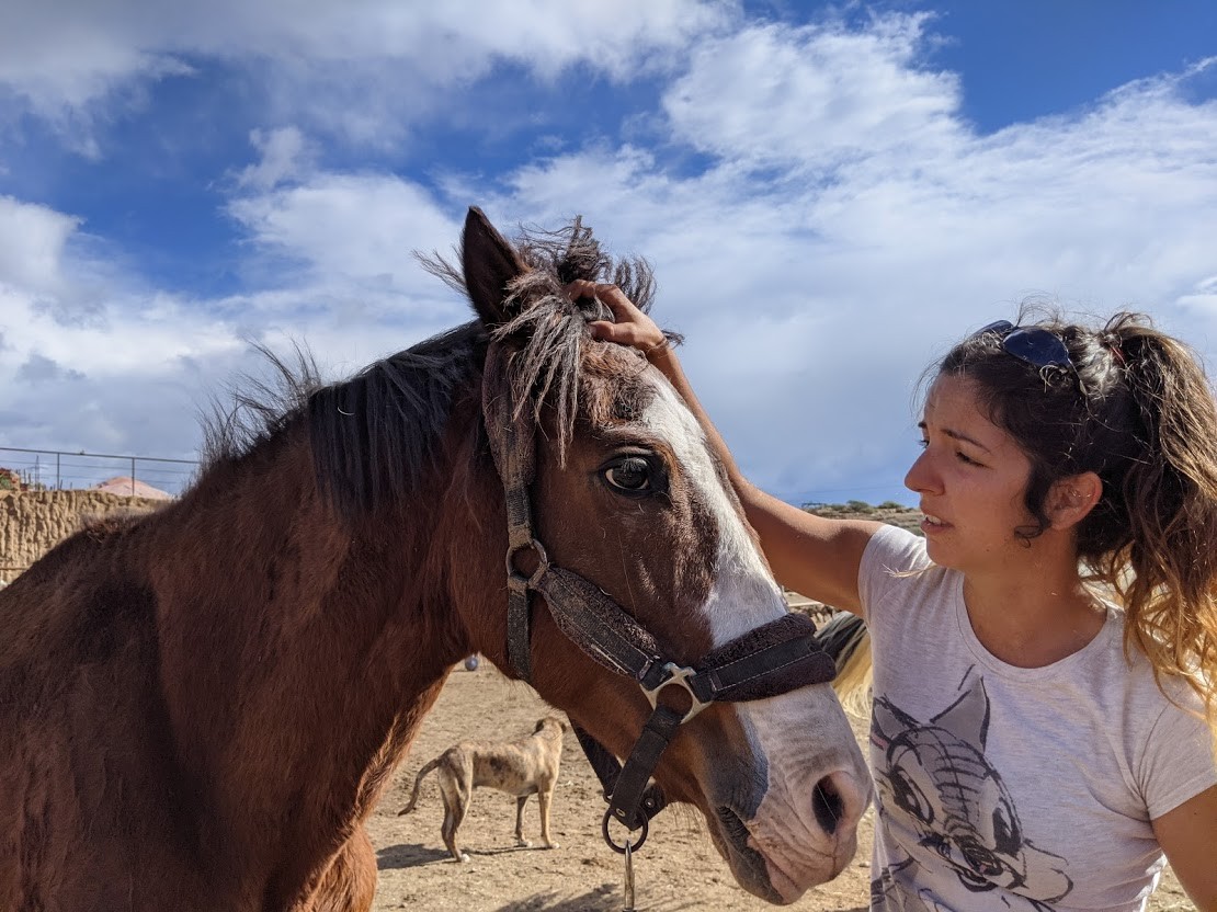 Volunteer with rescue horse