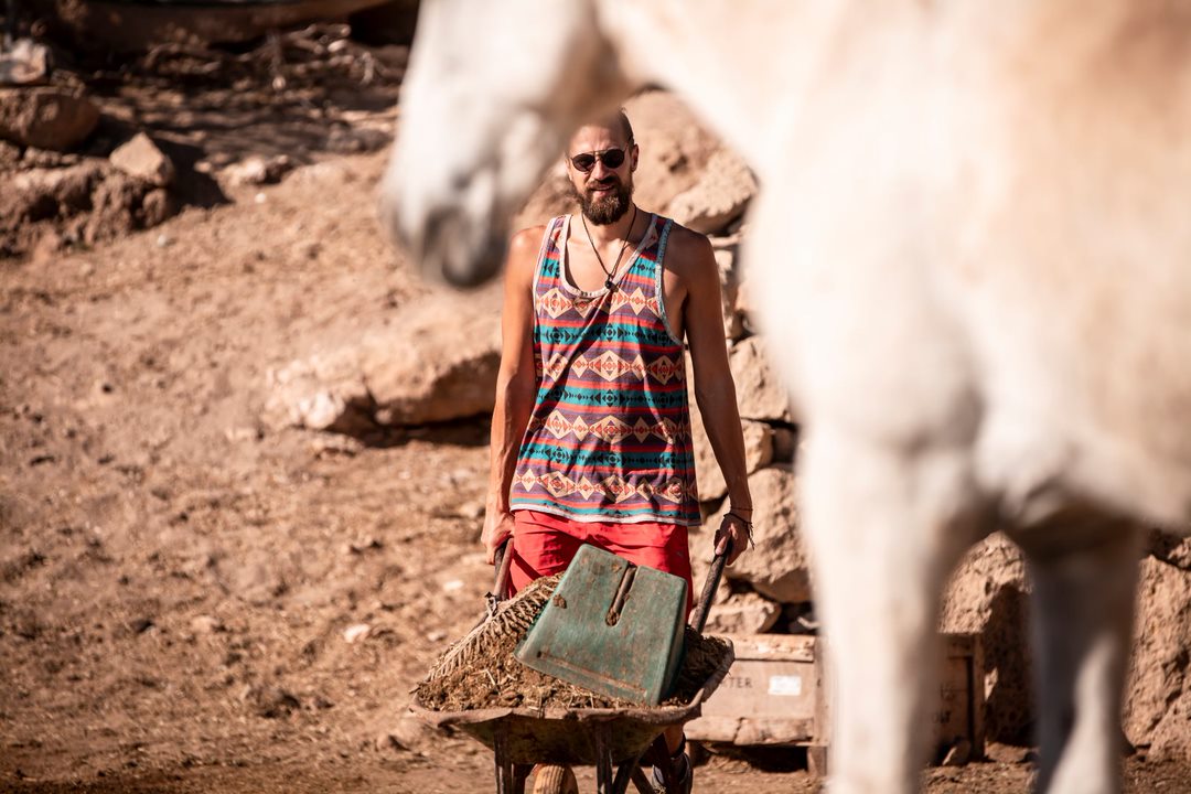 Volunteers and animals at the finca