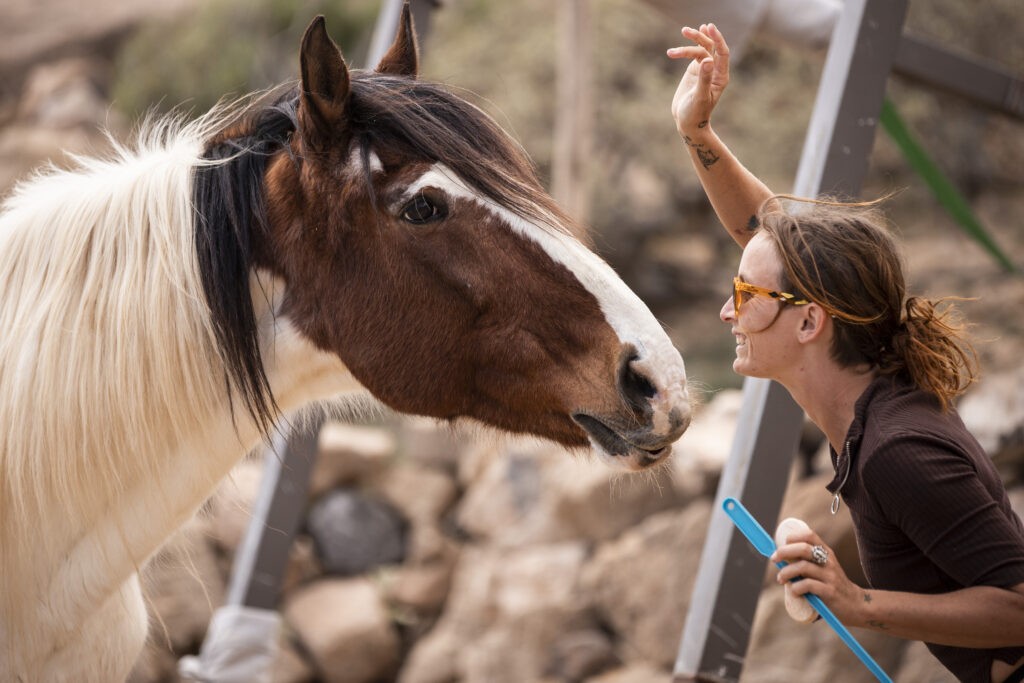 rescue horse riding