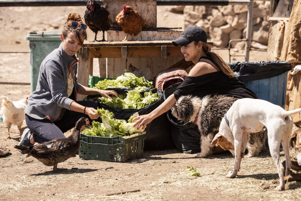 food donations