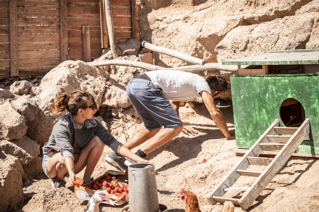 volunteers working at Tenerife Horse Rescue