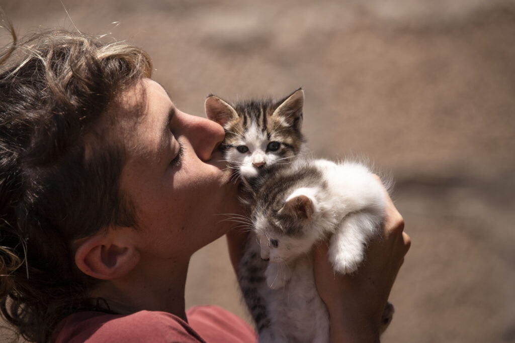 small animals care Tenerife sanctuary