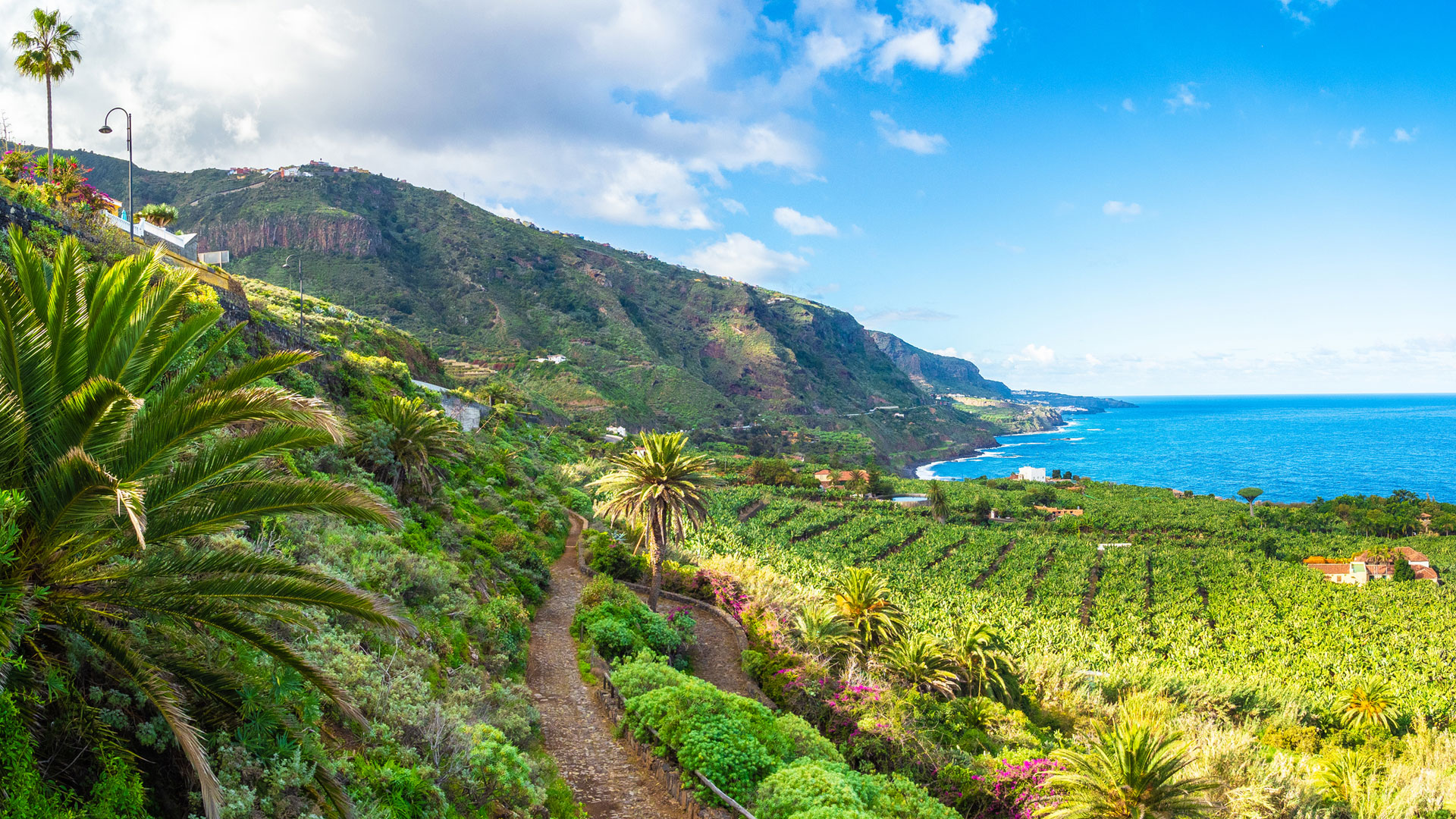 Tenerife sustainable travel ocean
