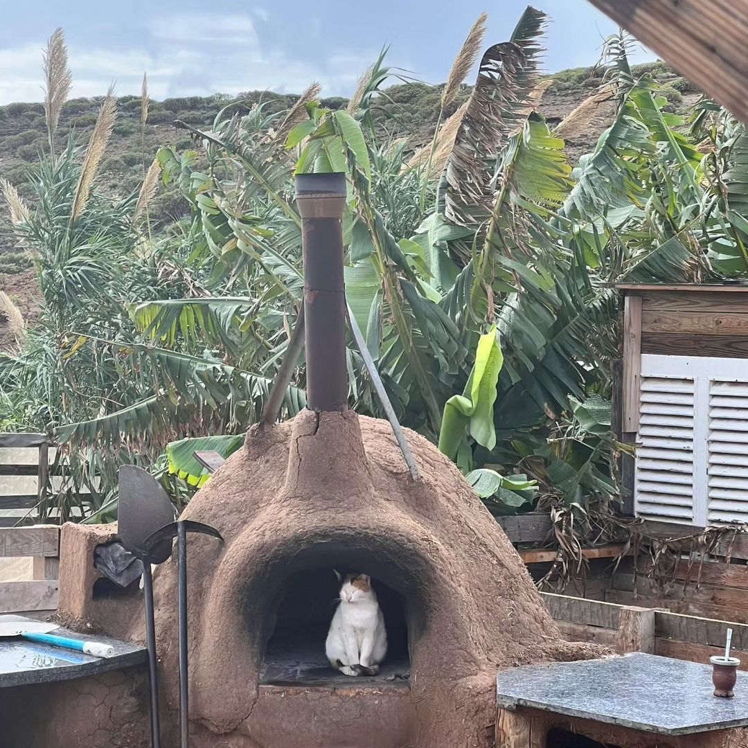 Animal